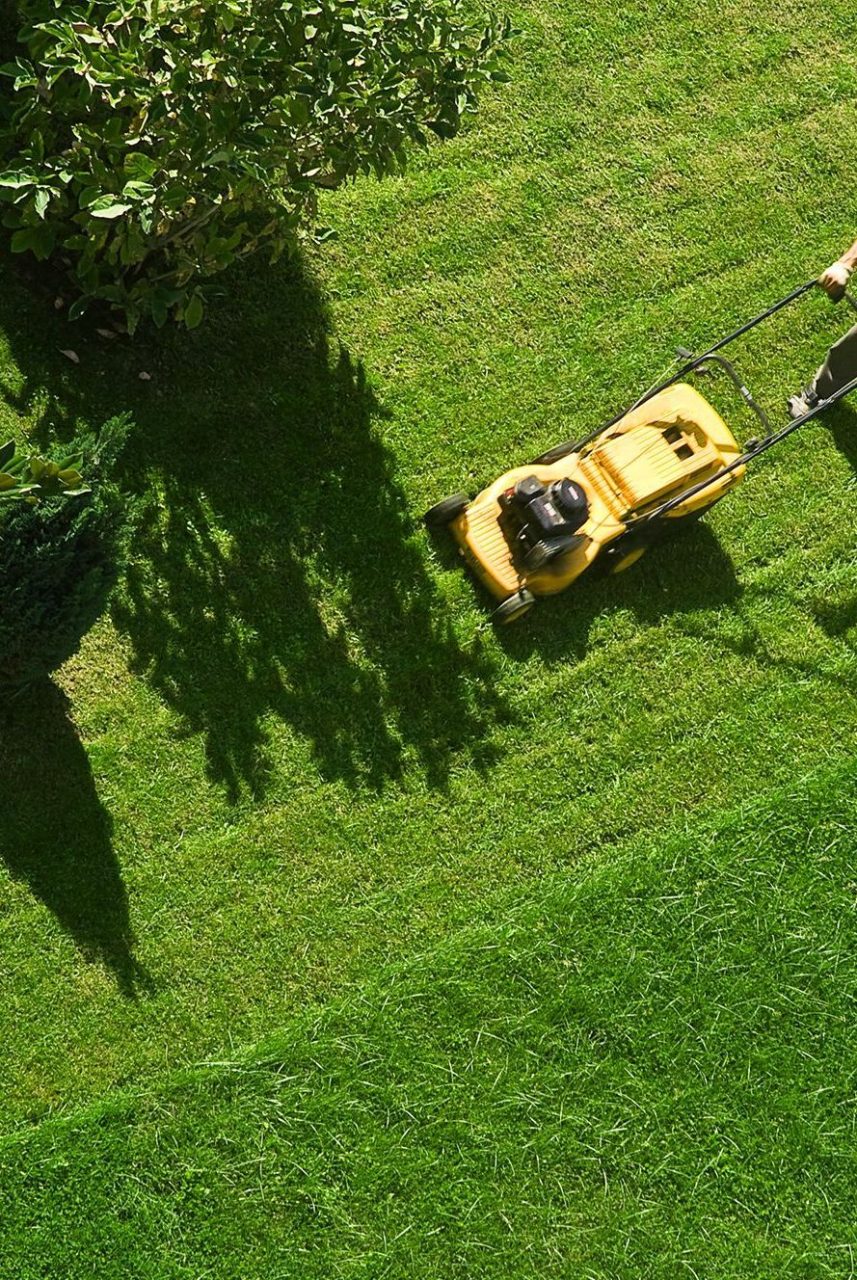 Lawn care